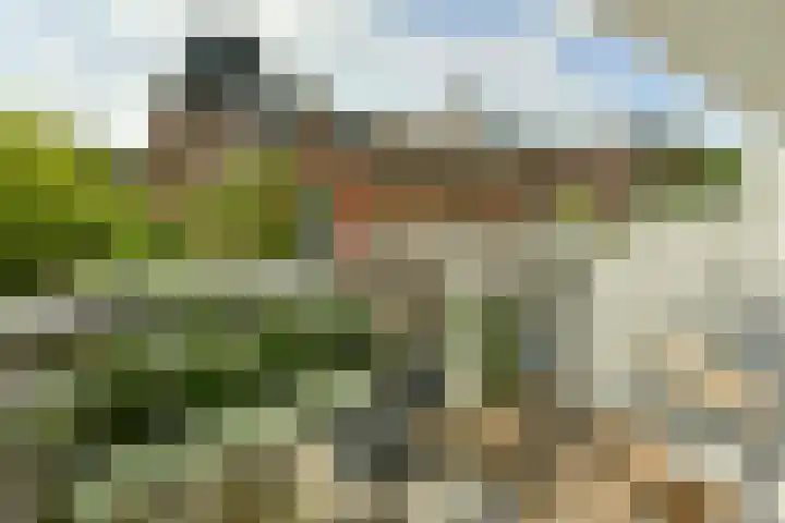 Eikenweg 12 Amsterdam thumbnail 6