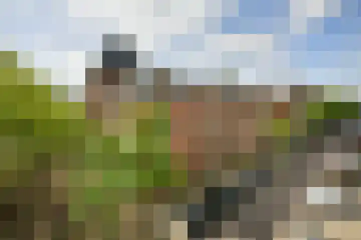 Eikenweg 12 Amsterdam thumbnail 7
