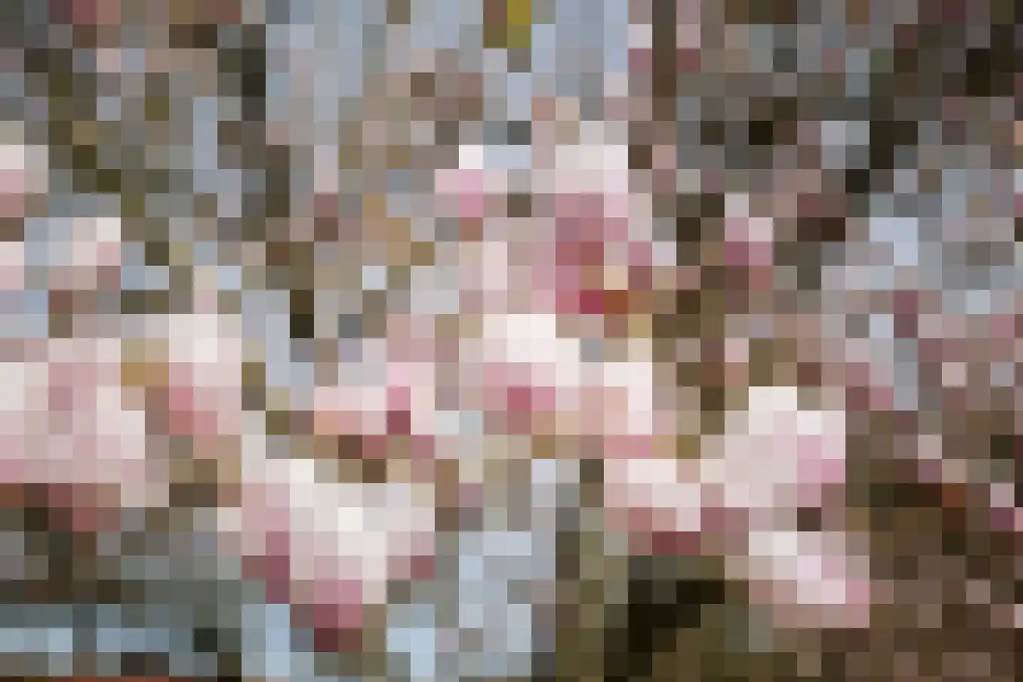 Eikenweg 2 Olst thumbnail 32