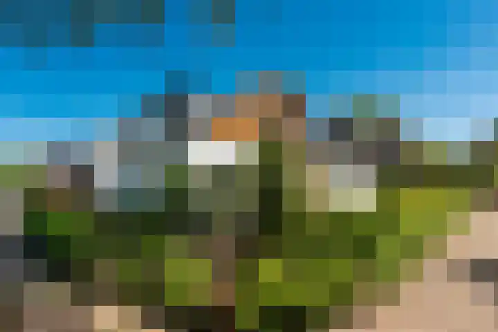 Eikenweg 20 Baarn thumbnail 24