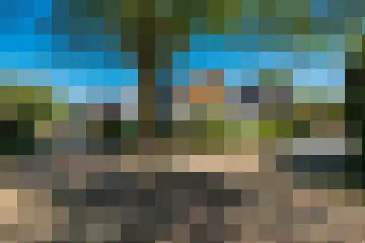 Eikenweg 20 Baarn thumbnail 26