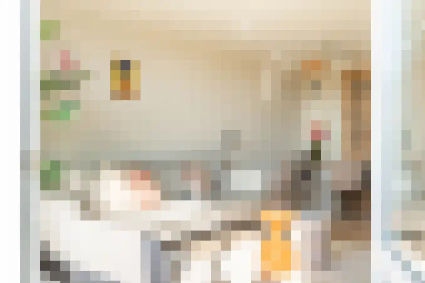 Eikenweg 24 Amsterdam thumbnail 6