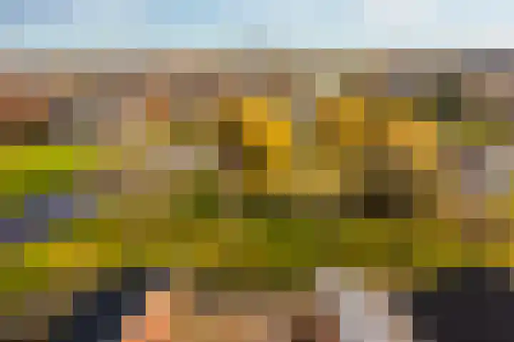 Eikenweg 4 Hoogezand thumbnail 41