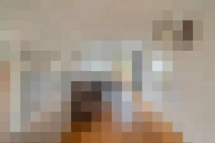 Eikenweg 4 Hoogezand thumbnail 8