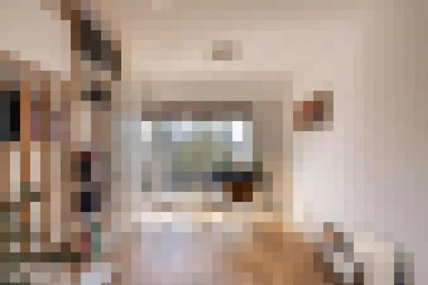 Eikenweg 6 A Amsterdam thumbnail 43