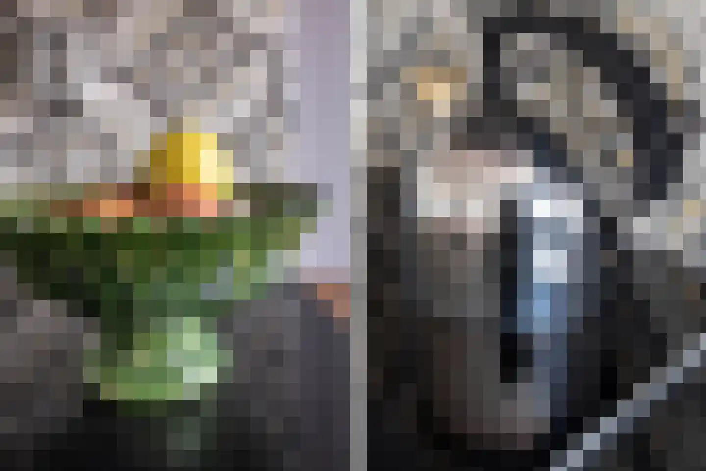 Eikenweg 6 E Amsterdam thumbnail 16