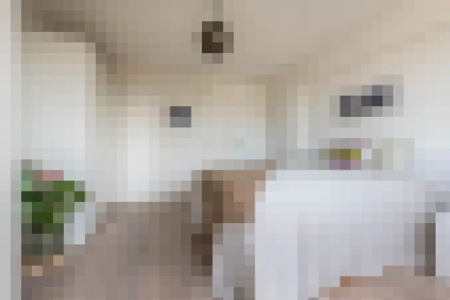 Eikenweg 6 E Amsterdam thumbnail 22