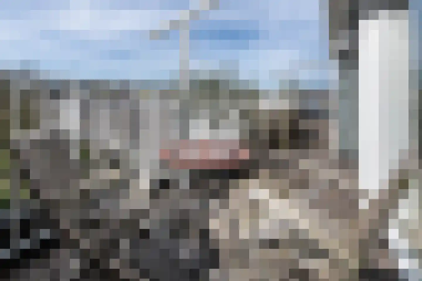 Eikenweg 6 E Amsterdam thumbnail 31