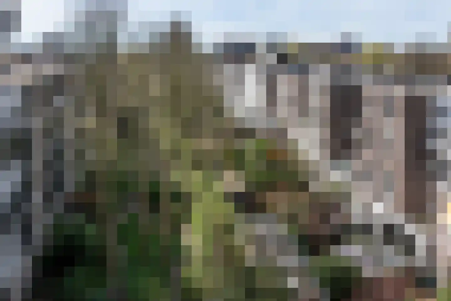 Eikenweg 6 E Amsterdam thumbnail 33