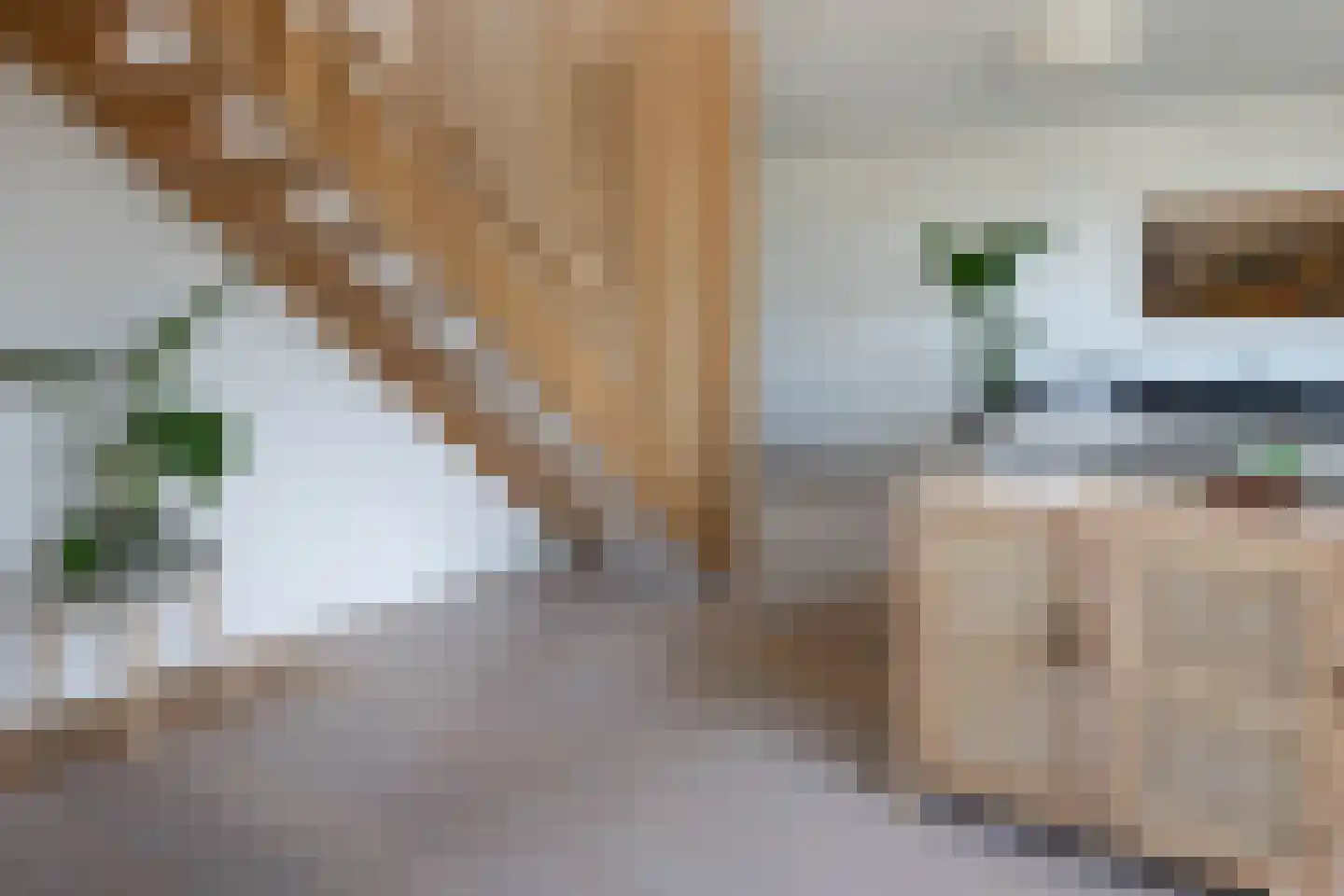 Eikenweg 6 E Amsterdam thumbnail 6