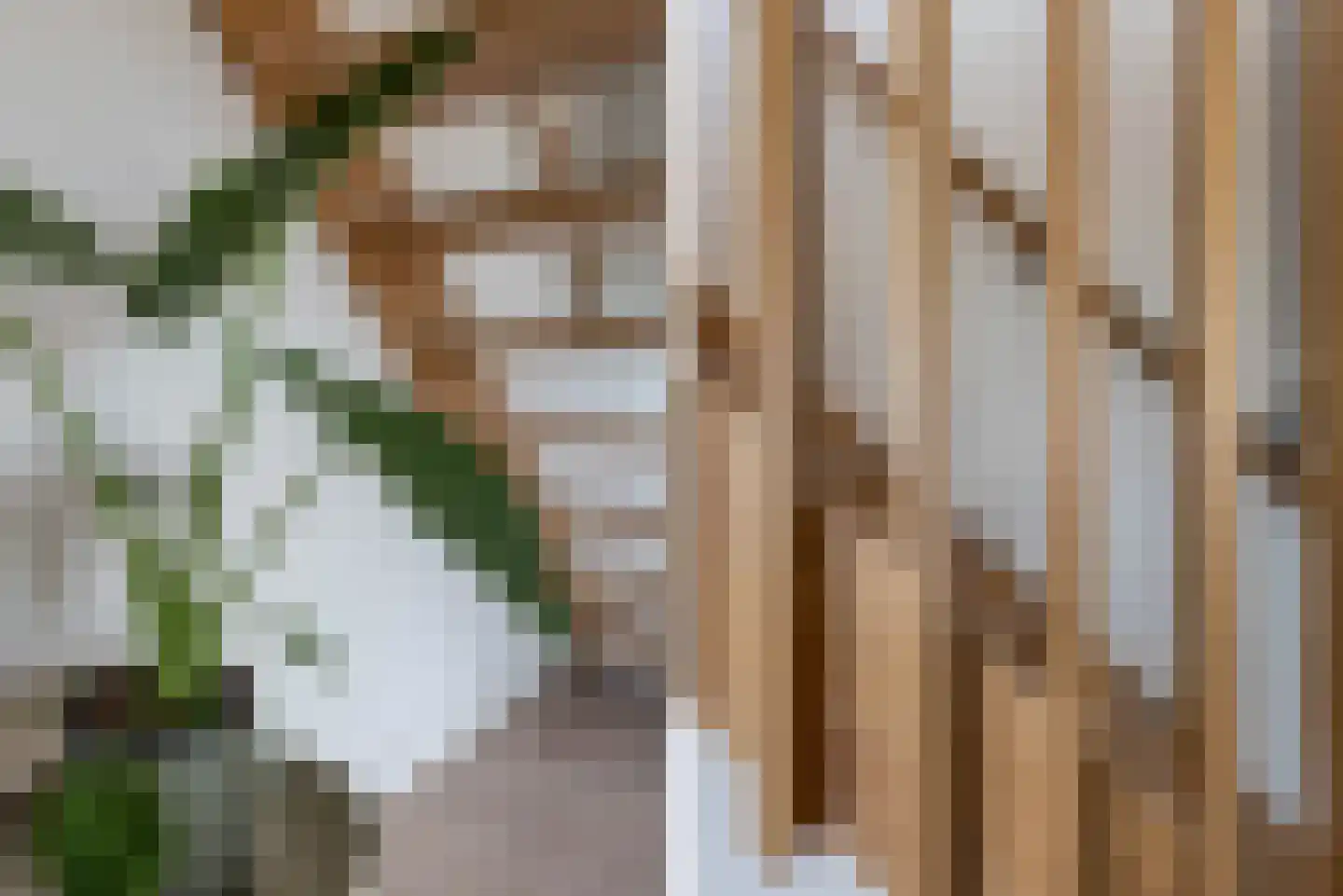 Eikenweg 6 E Amsterdam thumbnail 9