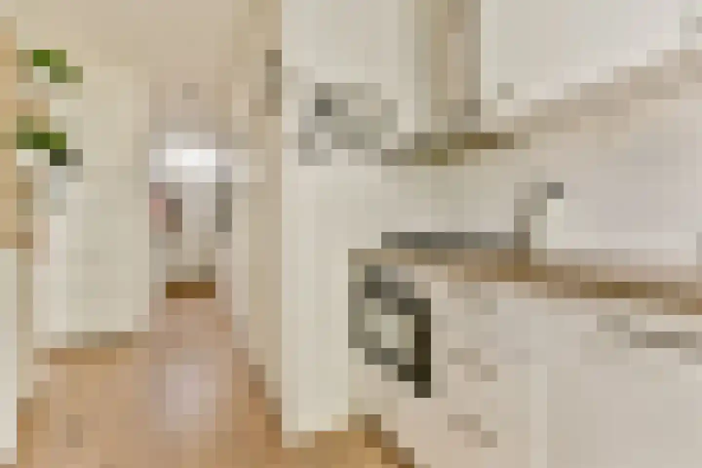Eikenweg 72 H Amsterdam thumbnail 10