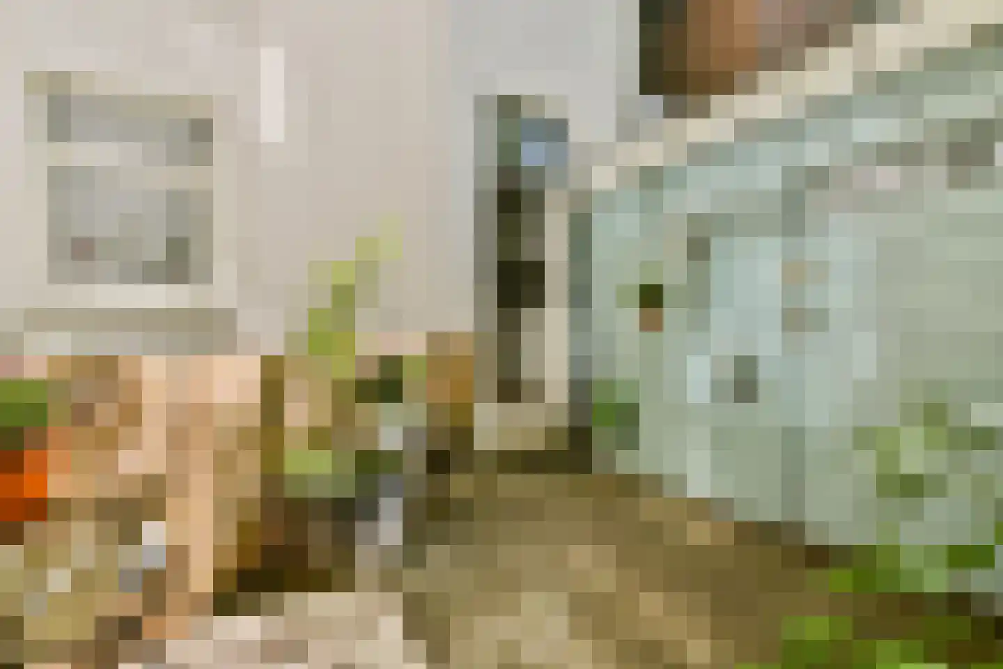 Eikenweg 72 H Amsterdam thumbnail 12