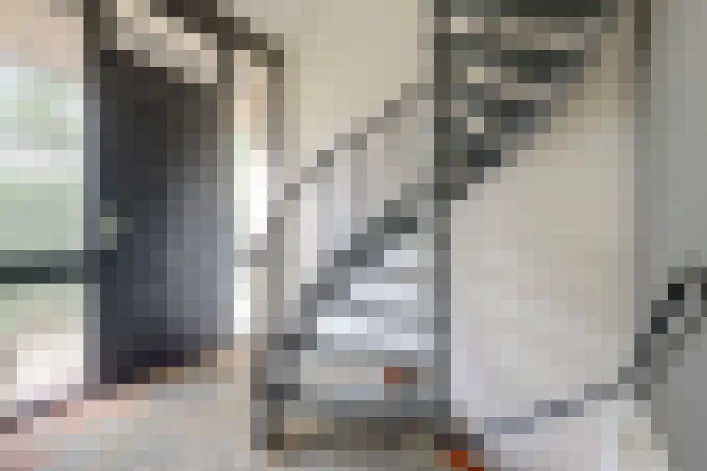 Eikenzoom 3 Otterlo thumbnail 12