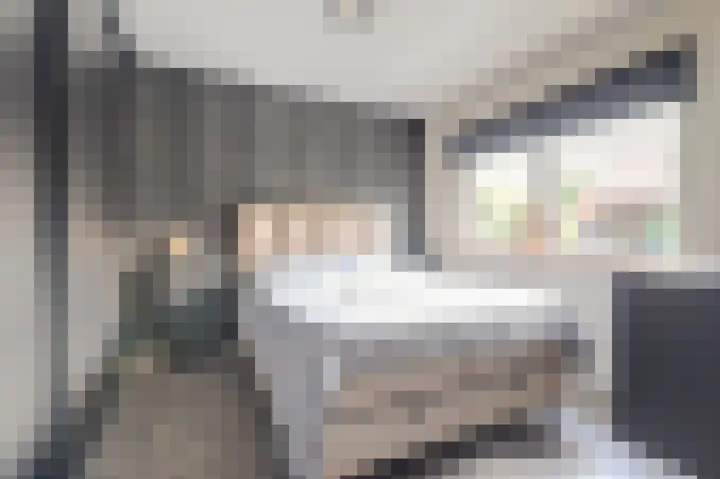 Eikenzoom 3 Otterlo thumbnail 14