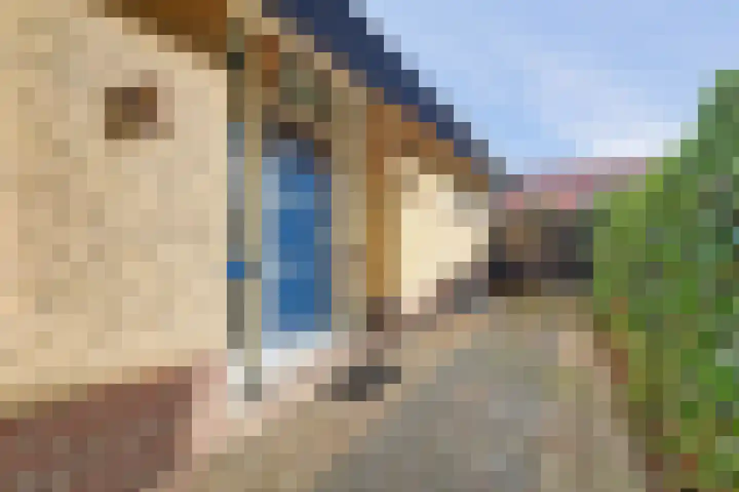 Eikenzoom 3 Otterlo thumbnail 27