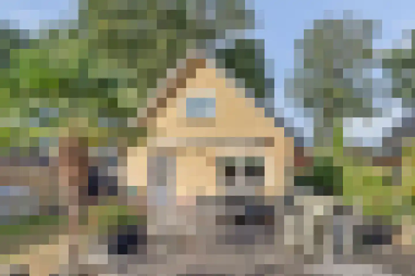 Eikenzoom 3 Otterlo thumbnail 30