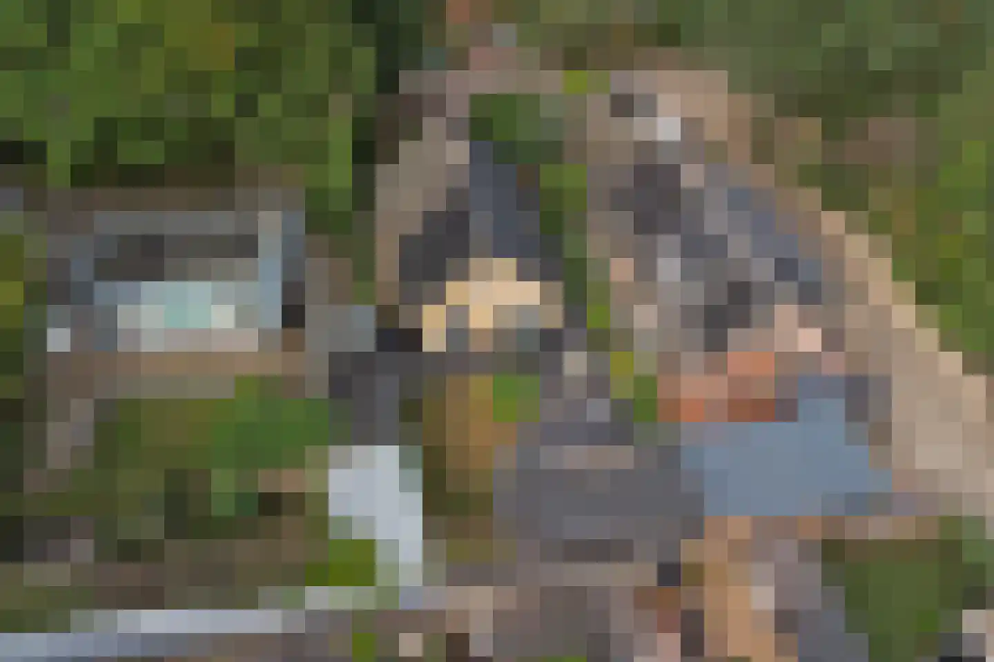 Eikenzoom 3 Otterlo thumbnail 33
