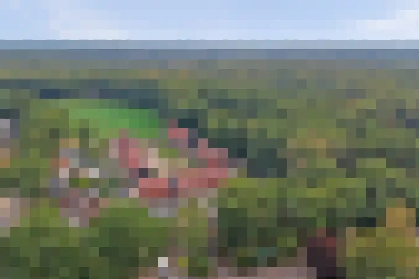 Eikenzoom 3 Otterlo thumbnail 34