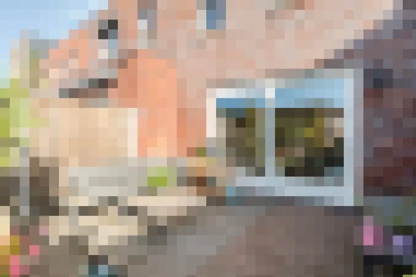Eikepage 17 Hoogeveen thumbnail 35