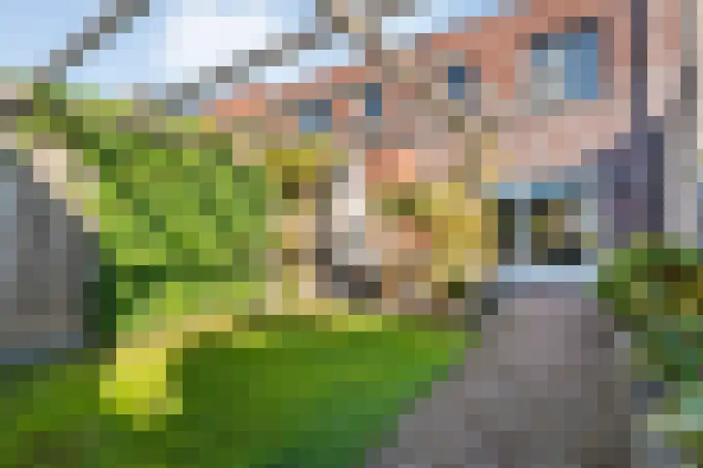Eikepage 17 Hoogeveen thumbnail 37