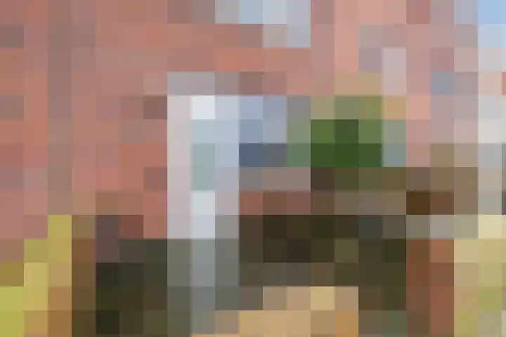 Eikepage 19 Hoogeveen thumbnail 7