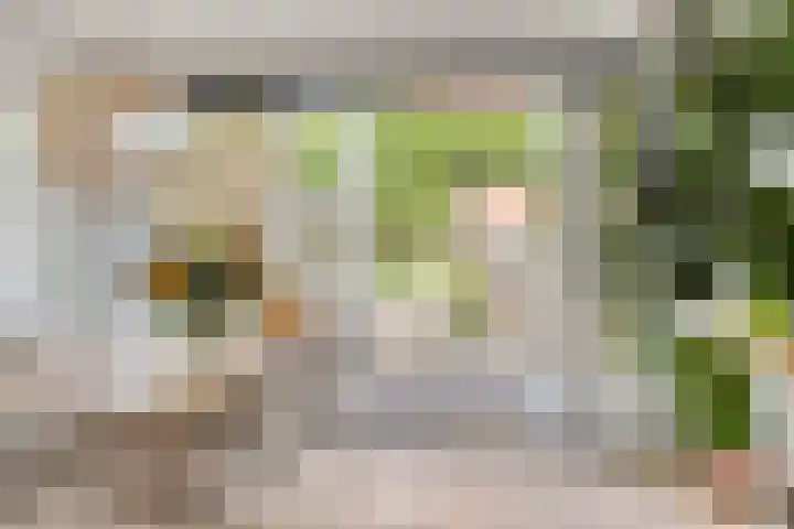 Eikepage 26 Breda thumbnail 10