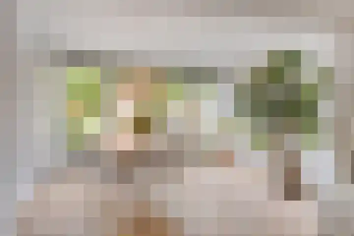 Eikepage 26 Breda thumbnail 13