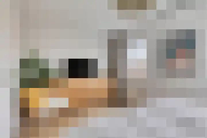 Eikepage 26 Breda thumbnail 20