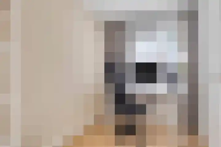 Eikepage 26 Breda thumbnail 21