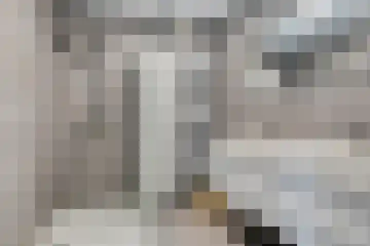 Eikepage 26 Breda thumbnail 23