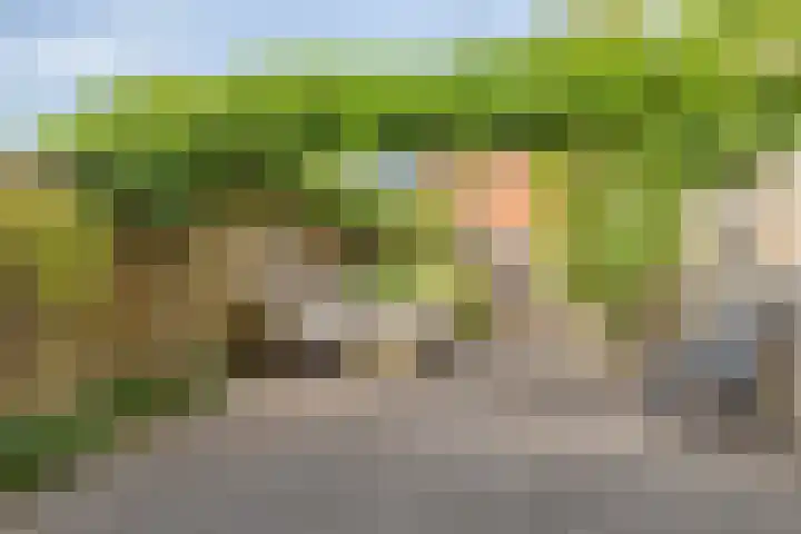Eikepage 26 Breda thumbnail 31