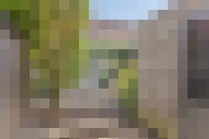 Eikepage 26 Breda thumbnail 33