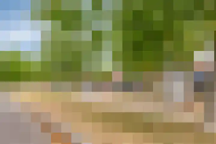 Eikepage 26 Breda thumbnail 36