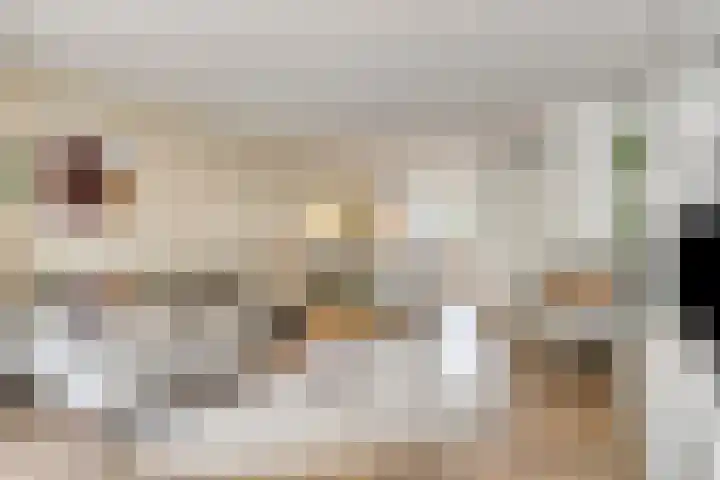 Eikepage 26 Breda thumbnail 8