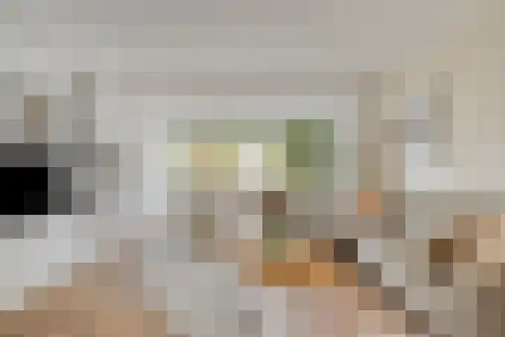 Eikepage 26 Breda thumbnail 9