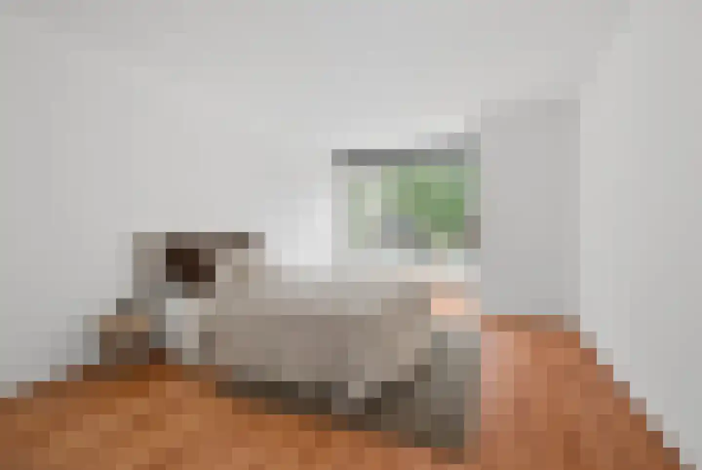 Eikepage 37 Breda thumbnail 34