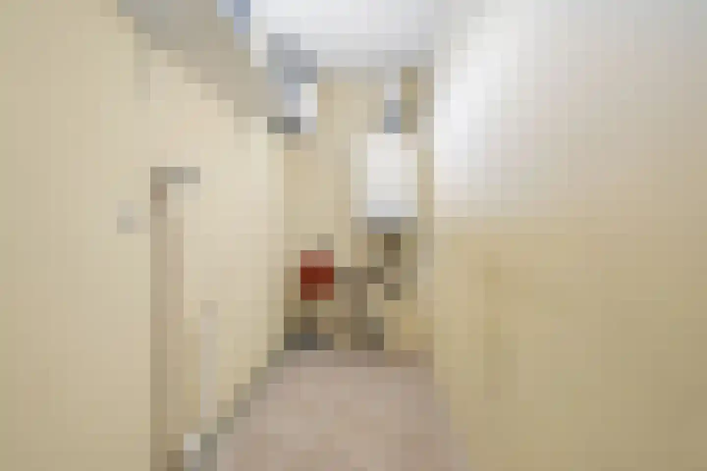 Eikepage 37 Breda thumbnail 44