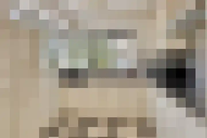 Eikepage 60 Breda thumbnail 10