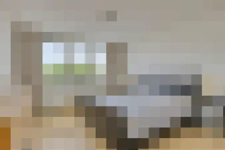 Eikepage 60 Breda thumbnail 16