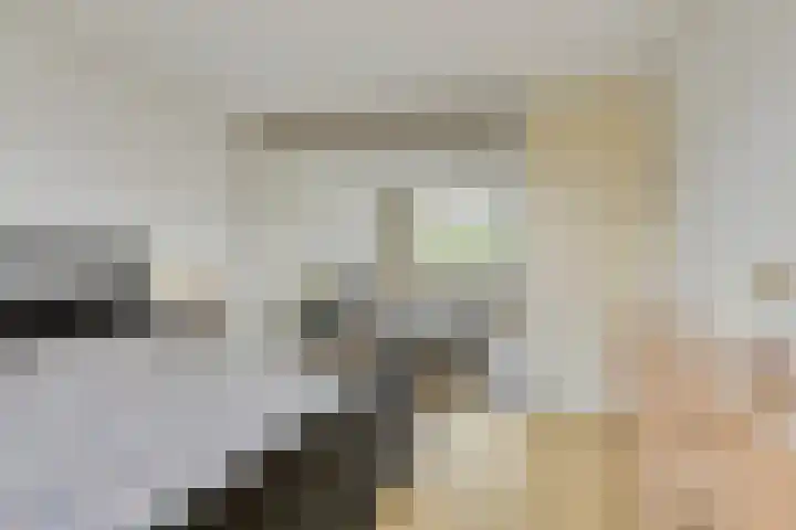 Eikepage 60 Breda thumbnail 17