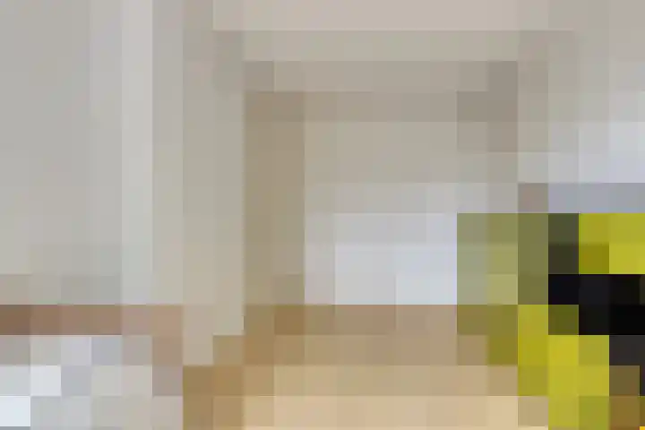 Eikepage 60 Breda thumbnail 19