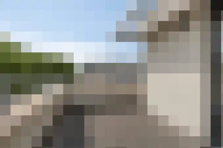 Eikepage 60 Breda thumbnail 25
