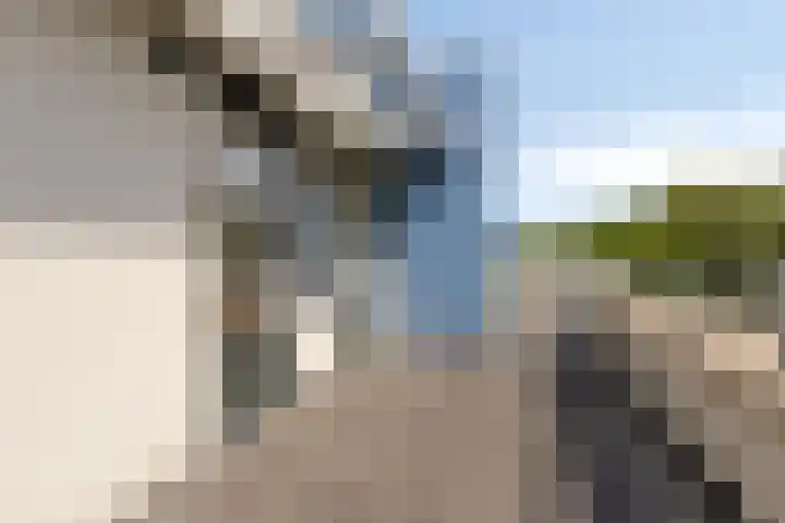 Eikepage 60 Breda thumbnail 26