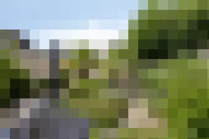 Eikepage 60 Breda thumbnail 28
