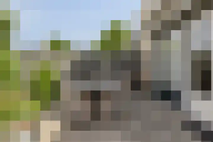 Eikepage 60 Breda thumbnail 30