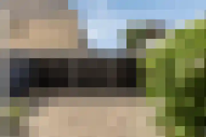 Eikepage 60 Breda thumbnail 31
