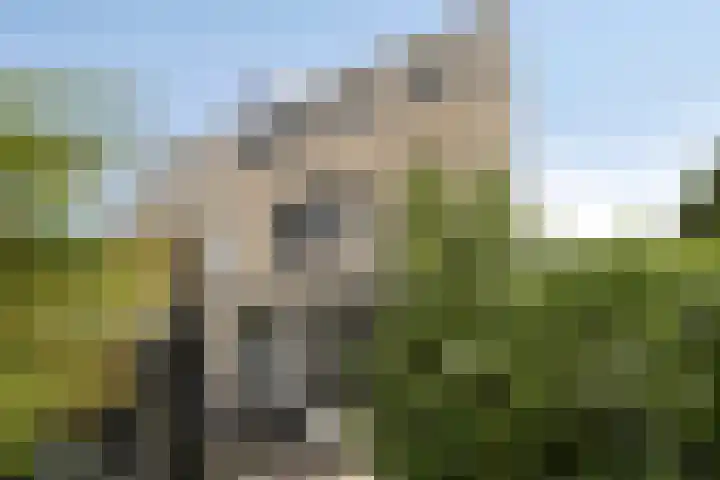 Eikepage 60 Breda thumbnail 32