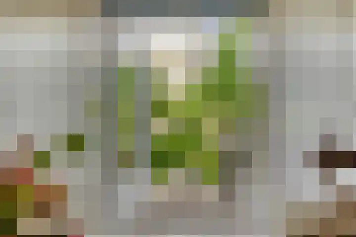 Eikepage 60 Breda thumbnail 4