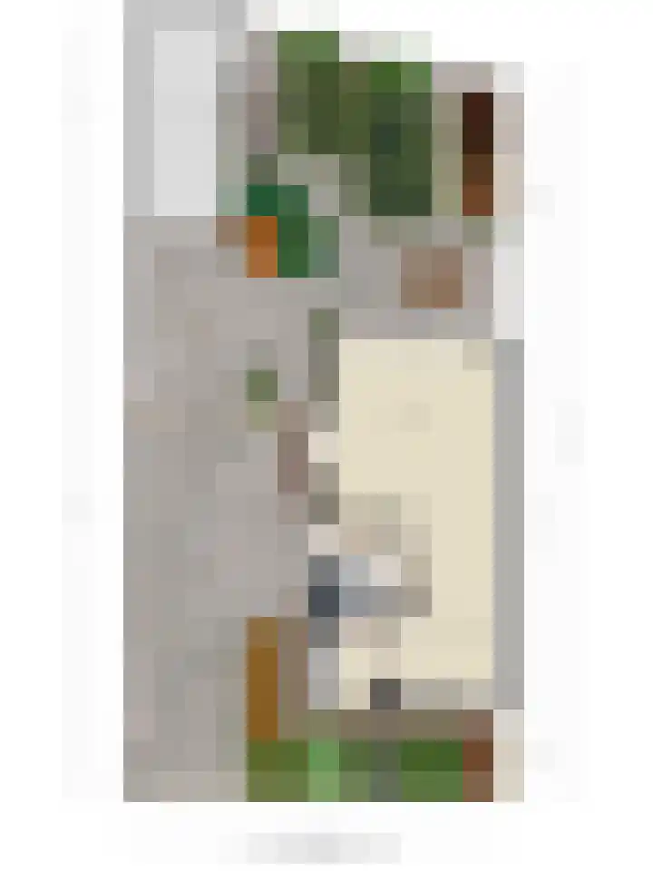 Eikepage 60 Breda thumbnail 41